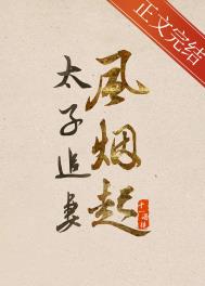 太子追妻路